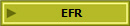 EFR- 1er  Secours